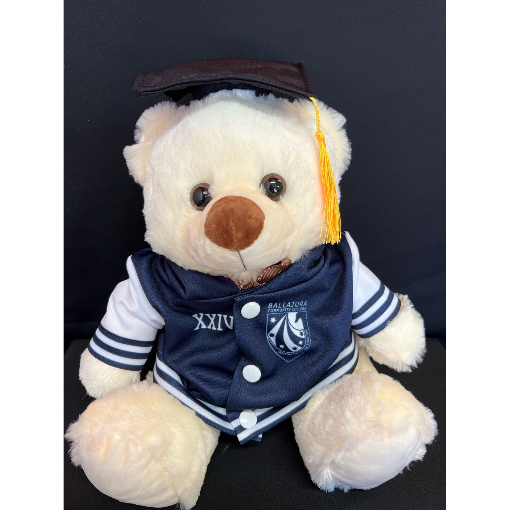 GRADUATION BEAR