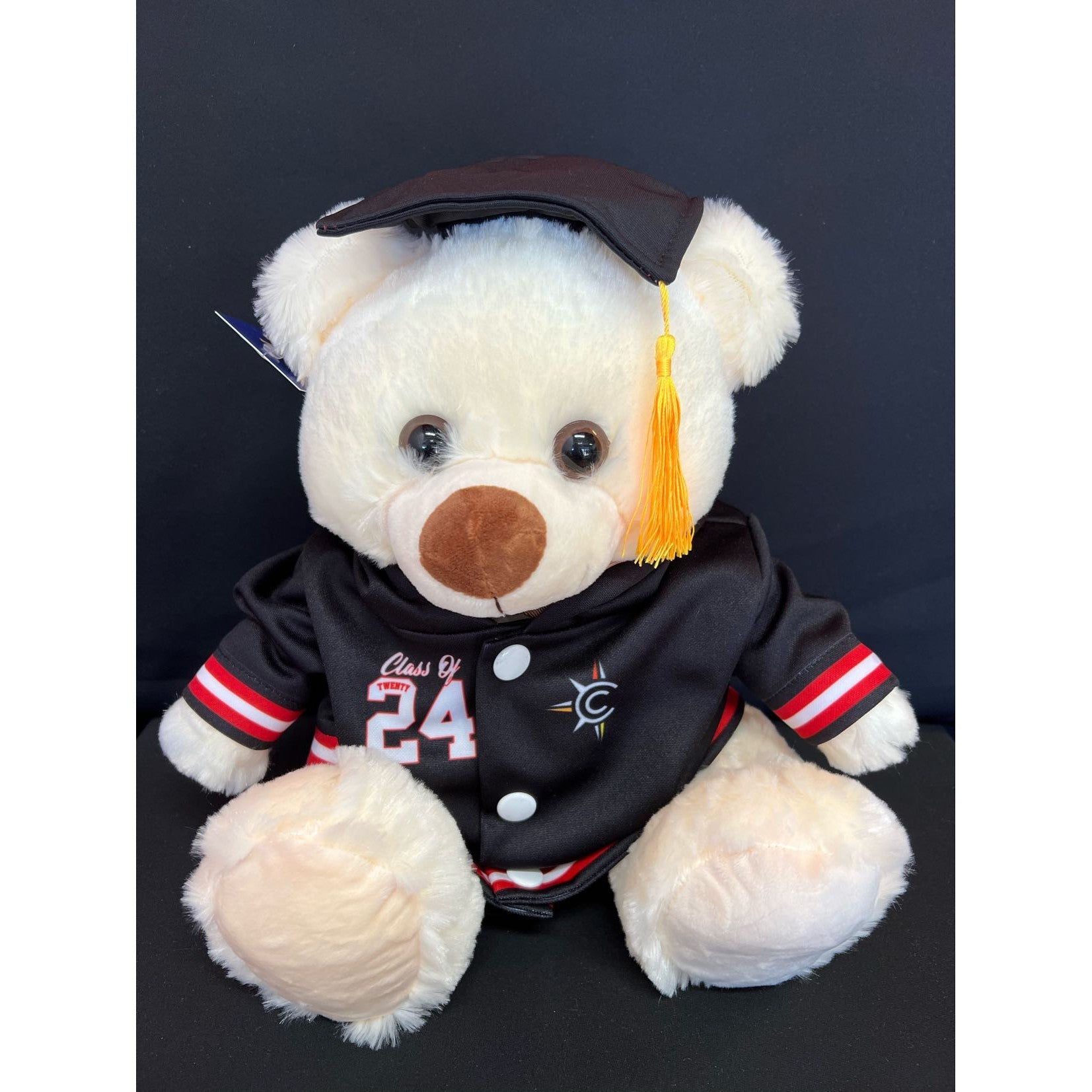 KINGSWAY CC - GRADUATION BEAR - 2026