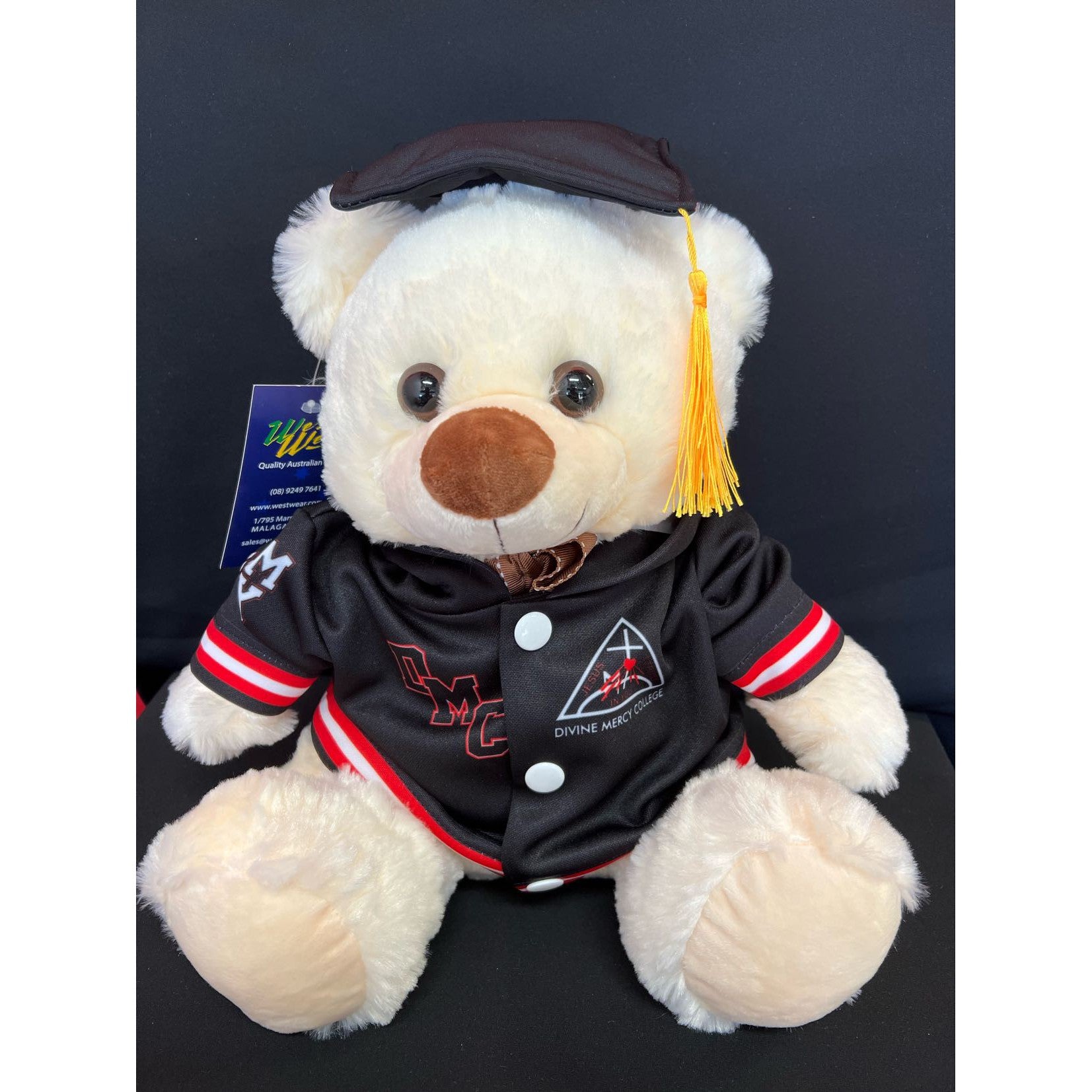 Divine Mercy College - GRADUATION BEAR - L26