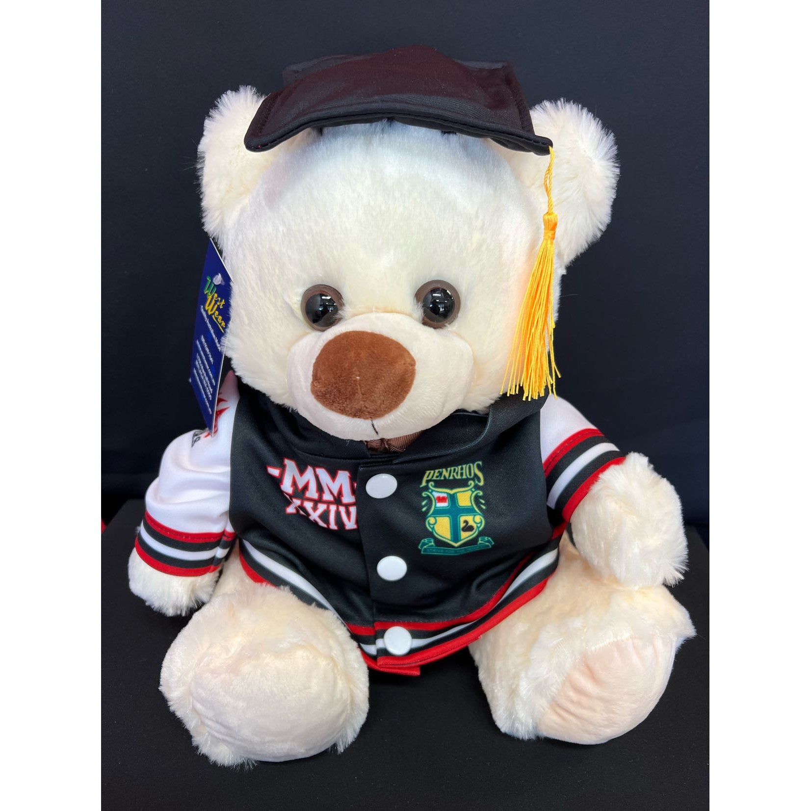 PENRHOS C - GRADUATION BEAR - 2024