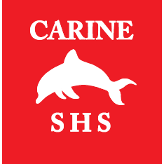 CARINE P.E - ATHLETICS TEAM - 1HT - RED