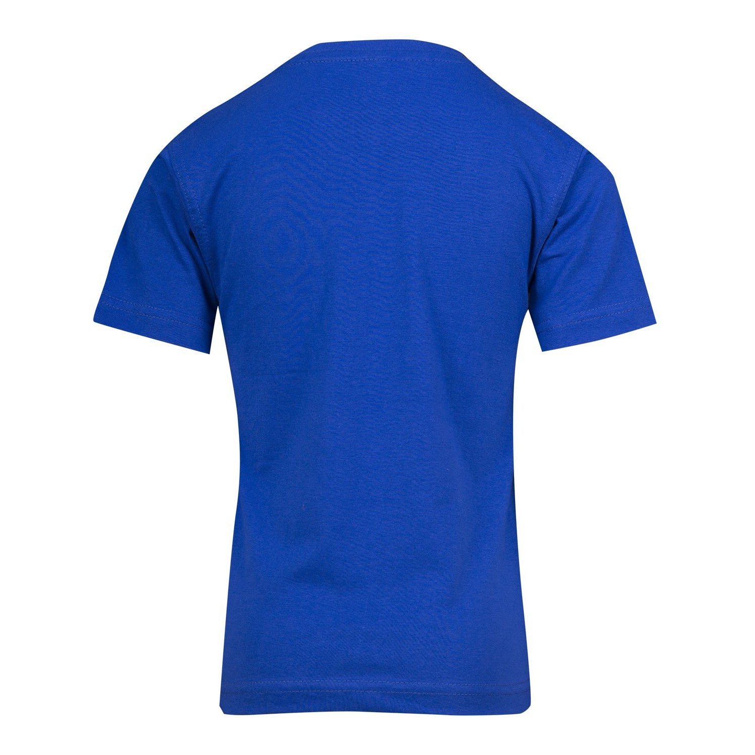 BANKSIA MS - TH302HT - KIDS REGULAR TEE - ROYAL - MIN QTY 20 PCS, MIX SIZES