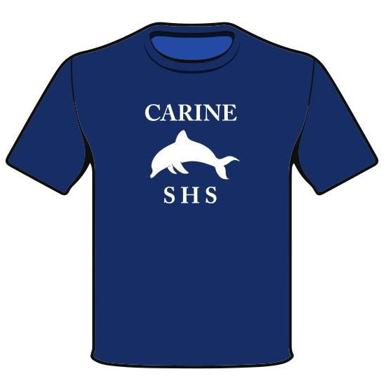 CARINE SHS HOUSE TEE - SILICA