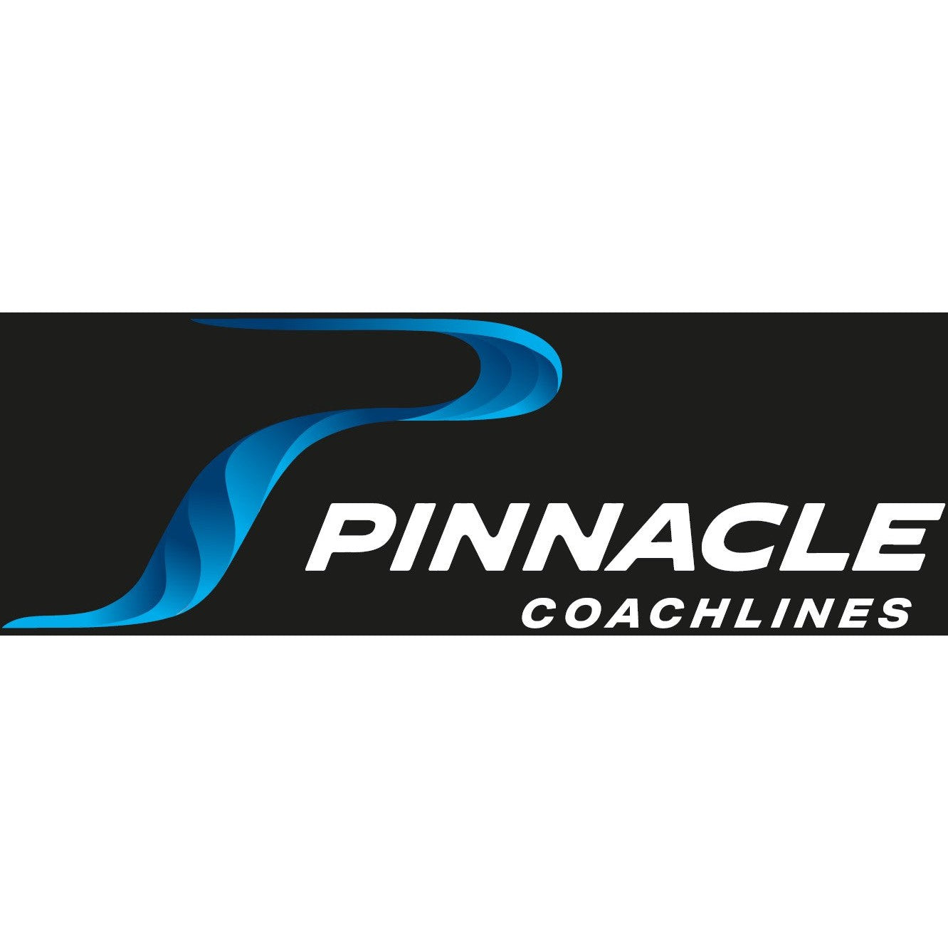 PINNACLE - (MALAGA) - 4199 - BRUSHED HEAVY COTTON CAP - BLACK (BLUE LOGO)