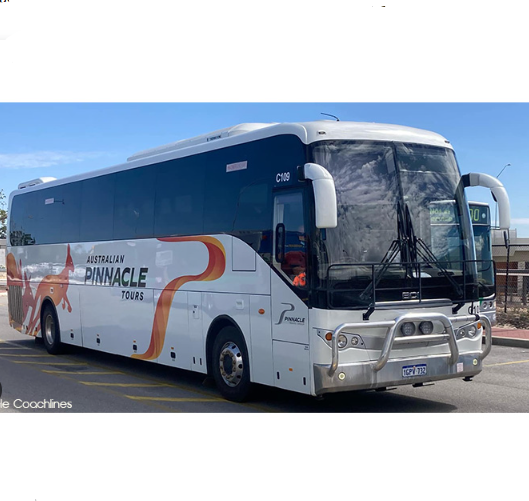 PINNACLE - (MALAGA) - BUS DRIVER PACKAGE