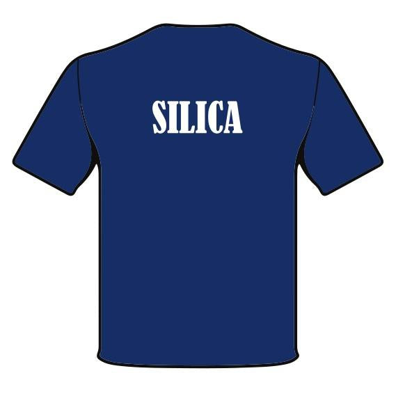 CARINE SHS HOUSE TEE - SILICA